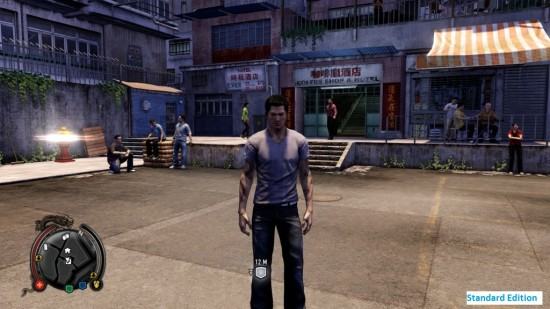 Sleeping Dogs (8)