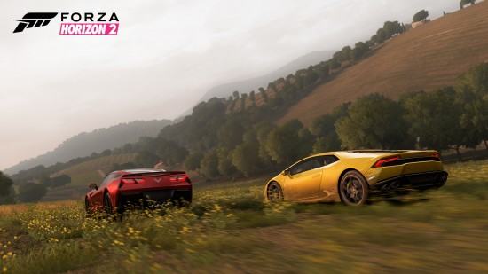 forza_horizon_808812592