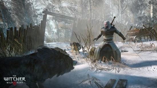 the-witcher-3-wild-hunt-pc-1412256136-100