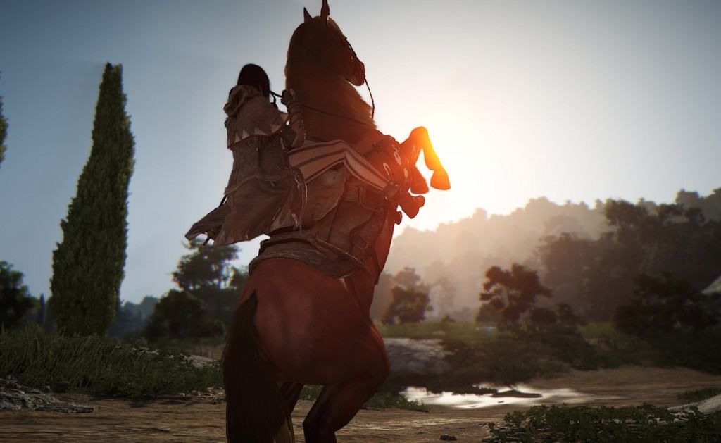 Black Desert (4)