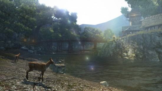Dragon's Dogma Online (3)
