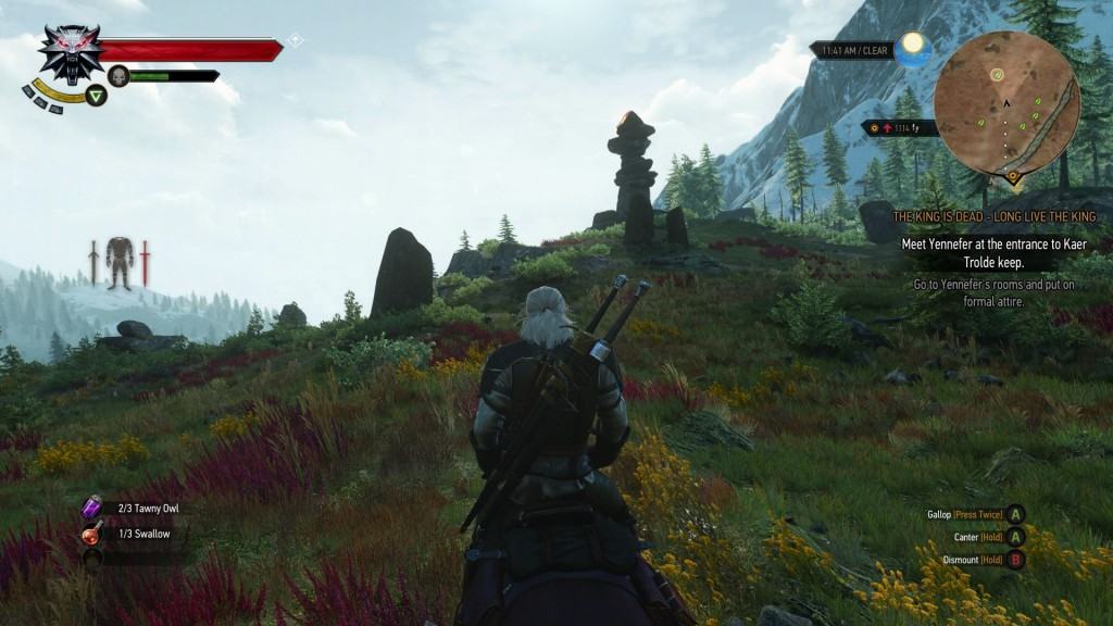 The Witcher 3 (4)