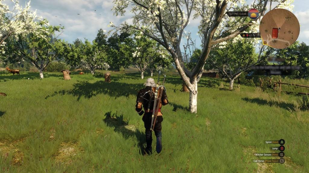 The Witcher 3 Wild Hunt (3)