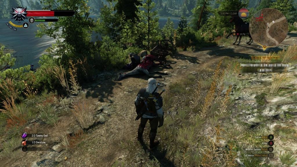 The Witcher 3 Wild Hunt (3)
