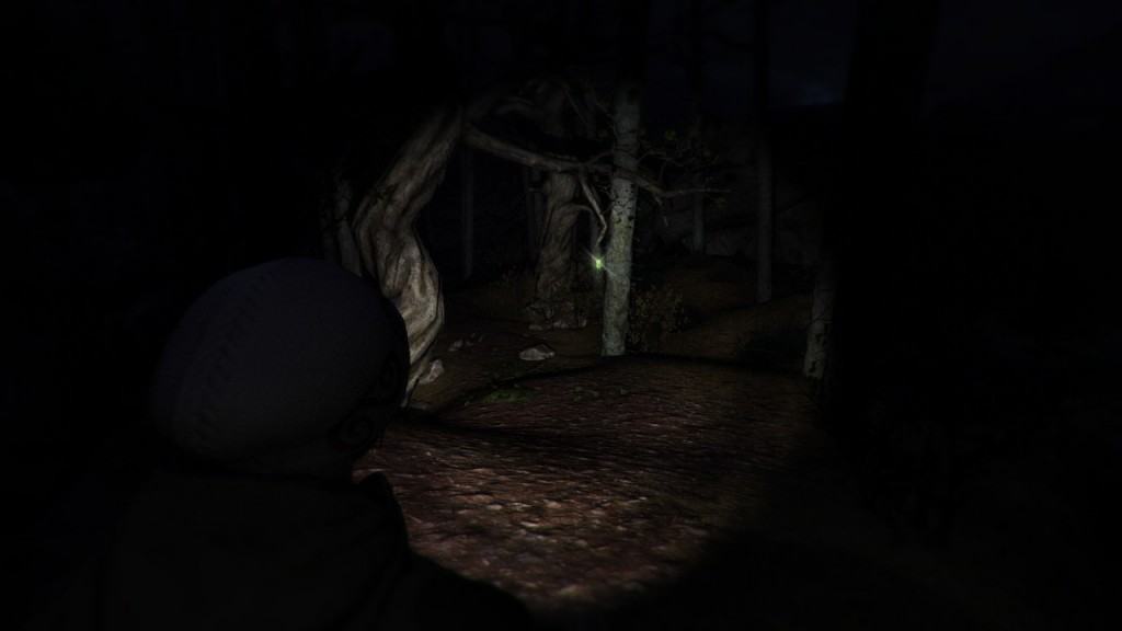 Through the Woods (3)