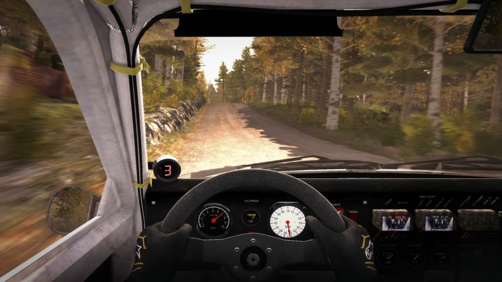 DiRT Rally (25)