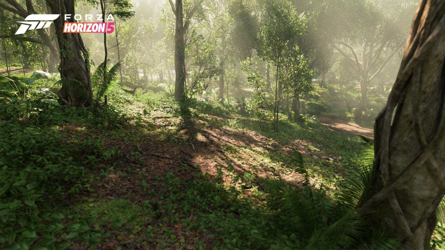 WCCFforzahorizon59-1480x833-min.jpg