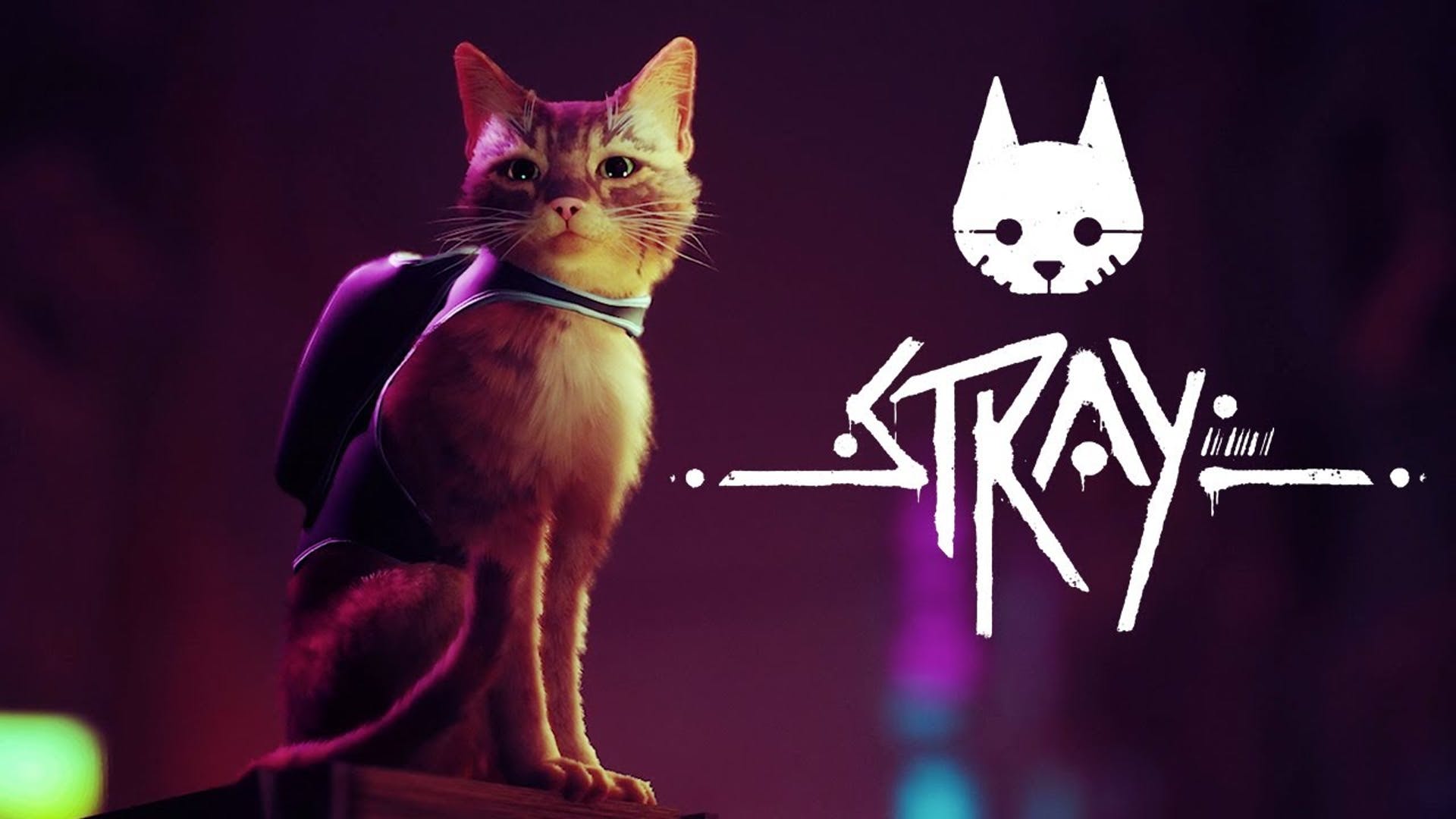 Stray ستتوفّر لمشتركي الفئات العليا من PlayStation Plus منذ الإطلاق