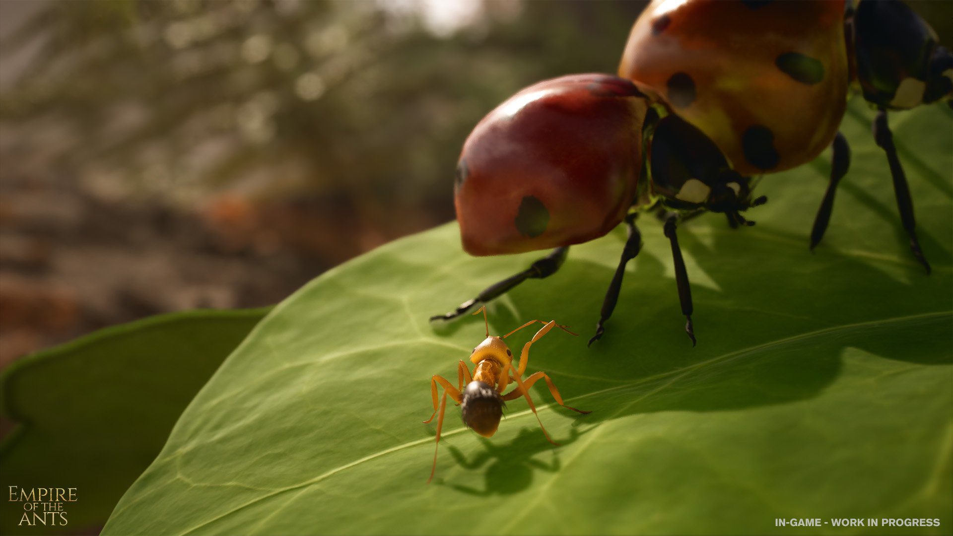 الكشف عن الإعدادات التقنية لنسخة الأجهزة المنزلية من Empire of the Ants