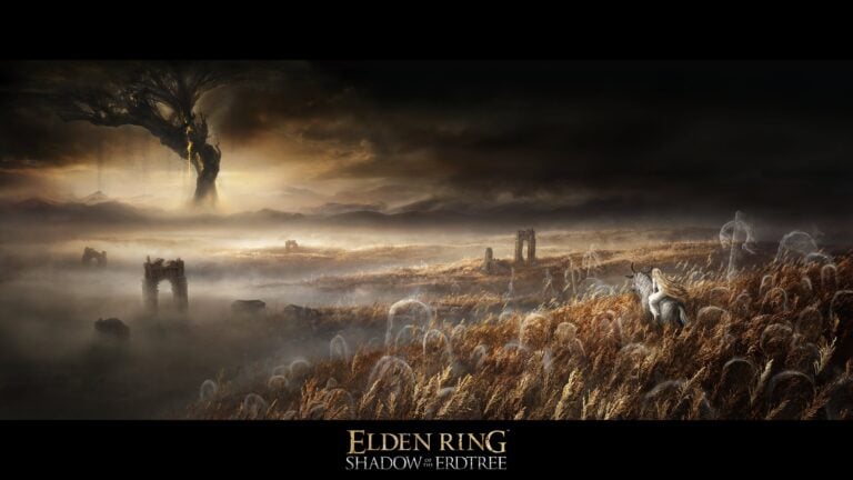 Kadokawa لم تتطرق للحديث عن توسعة Elden Ring: Shadow of the Erdtree أثناء اجتماعها المالي